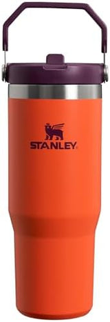 Stanley IceFlow Flip Straw Tumbler with Handle 30 oz | Twist On Lid and Flip Up Straw | Leak Resistant Water Bottle | Insulated Stainless Steel |BPA-Free | Tigerlily Plum