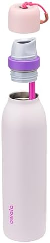 FreeSip Twist Insulated Stainless Steel Water Bottle with Straw for Sports and Travel, BPA-Free, 24-oz, Pink/Purple (Dreamy Field)