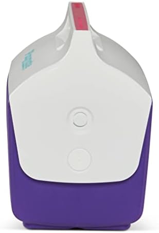 Igloo Classic Playmate Coolers