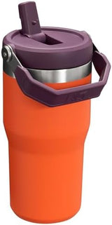 Stanley IceFlow Flip Straw Tumbler with Handle 20 oz | Twist On Lid and Flip Up Straw | Leak Resistant Water Bottle | Insulated Stainless Steel |BPA-Free | Tigerlily Plum