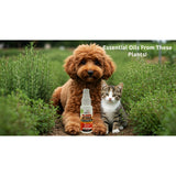 Plaque Attack Pet Dental Spray