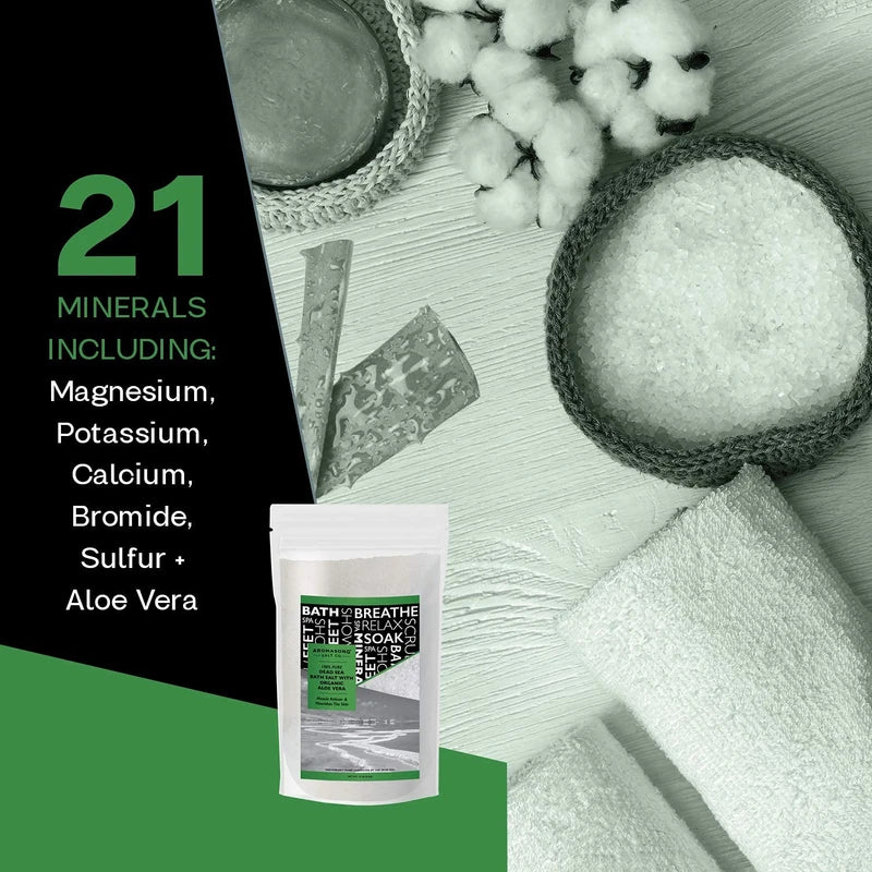 Dead Sea Salt with Organic Aloe Vera, Spa Bath Salts, 19 Lbs Fine Grain Large Bulk resealable Pack, 100% Pure & Natural, Used for Body wash Scrub, Soak for Women & Men for Tired Muscles & Skin Issues
