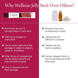 WELLINUS Pomegranate Full of Collagen, Jelly Stick, Marine Collagen, Fast Absorbing, Snack, Ultra-Low Weight Molecular Marine Collagen, HACCP Certified, 22.05 oz/Pack of 25