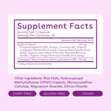 Love Wellness Nootropics Brain Support Supplement, Big Brain Probiotics | Brain Function, Focus, Cognitive Health, & Healthy Mood | Organic Reishi, Chaga, & Lions Mane Mushrooms | Vegan | 30 Capsules