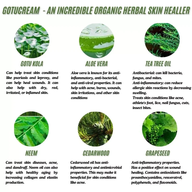 Gotucream 2oz Jar ~ Organic Healing Cream ~  New Made in Scotland.