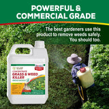 Weed Killer Concentrate - Eco Living Solutions Weed Killer Spray | Pet Safe Weed Killer | Organic Weed and Grass Killer | Moss Killer | Crabgrass & Dandelion killer | Glyphosate Free herbicide (32 oz)
