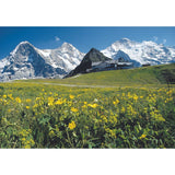 Ricola Lemon Mint, Herbal Candy, 2.5 oz (70 g) x 6 Packs