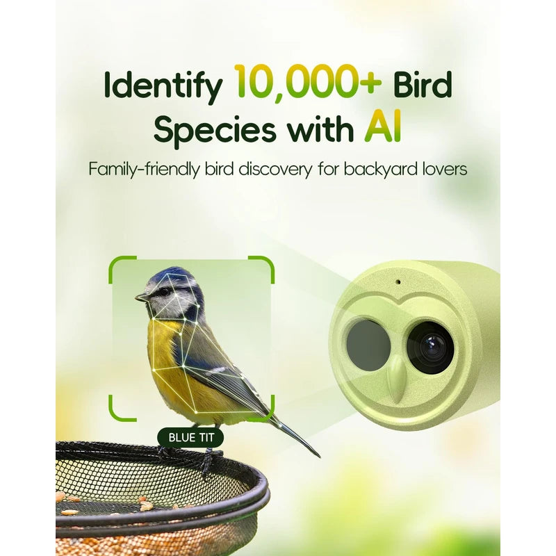 4K HD Bird Feeder with Camera Solar Powered, 2.4G/5G Dual WiFi Wireless, Auto Bird Video Capture, Instant Notifications, 360°Adjustable Bracket & 32GB EMMC, AI Identify 10000+ Species for Bird Lover