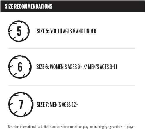 WILSON NBA Authentic Series Outdoor Basketballs