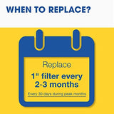 Aerostar 20x25x4 MERV 11 - 6 Count - Pleated HVAC, Furnace & Air Conditioner Filters - Removes Dust, Cold & Flu Germs, Lint, Mold, Pet Dander, Allergy-Causing Pollen, Smog & Smoke