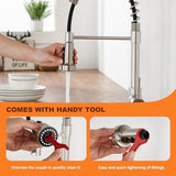 with 15 Adapters Pull Down Kitchen Sink Faucet Head Replacement, 3 Functions Plastic Kitchen Sink Sprayer Nozzle Replacement for Kitchen Faucet, Pause Mode (Brushed Nickel)