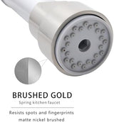 AIMADI Kitchen Faucet with Pull Down Sprayer,Commercial Stainless Steel Pull Down Sprayer Kitchen Faucet Single Hole Single Handle RV Laundry Outdoor Kitchen Sink Faucets