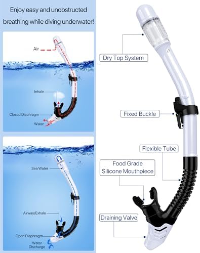 Snorkeling Gear for Adults Men Women,4 in 1 Snorkel Set with Panoramic View Diving Mask Anti-Fog Anti-Leak,Dry Top Snorkel,Fins and Travel Bag for Swimming,Snorkeling and Travel Diving