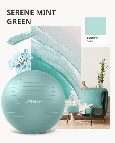 Trideer Yoga Ball - Exercise Ball for Workout pilates Stability - Anti-Burst and Slip Resistant for physical therapy, Birthing, Stretching & Core Workout, Office Ball Chair, Flexible Seating, Home Gym