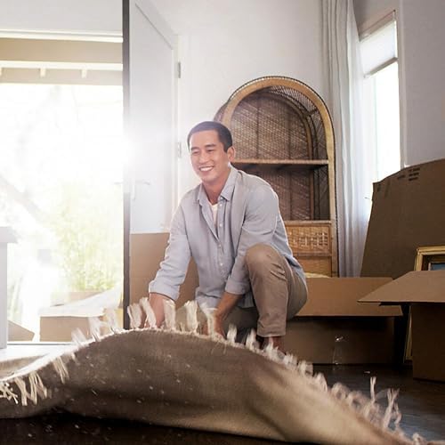 Filtrete 14x20x1 AC Furnace Air Filter MERV 5 MPR 300 Capture Unwanted Particles 3-Month Pleated 1-Inch Electrostatic Air Cleaning Filter, 6-Pack (Actual Size 13.81x19.81x0.81 in)