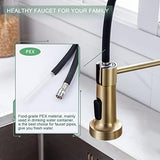 WEWE Brushed Gold Kitchen Faucet with Pull Down Sprayer, RV Brass Kitchen Faucet Stainless Steel Single Handle Spring Faucet with Deck Plate for Farmhouse Utility bar Laundry Sinks