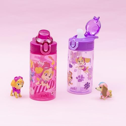 Zak Designs PAW Patrol Sage Kids Water Bottle For School or Travel, 16oz Durable Plastic Water Bottle With Straw, Handle, and Leak-Proof, Pop-Up Spout Cover, 2-Pack Set (Skye & Friends)
