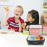 Healthy Packers Cool Pack, Slim Long-Lasting Ice Packs - Great for Coolers or Lunch Box