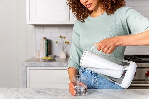 LifeStraw Home Water Pitcher Replacement Pack, 1-Year Supply, for Protection Against Bacteria, Parasites, microplastics, PFAS and 30+ contaminants