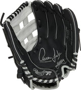 Rawlings | Sure Catch T-Ball & Youth Baseball Glove | Sizes 9.5" - 11.5" | Multiple Styles