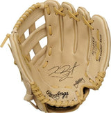 Rawlings | Sure Catch T-Ball & Youth Baseball Glove | Sizes 9.5" - 11.5" | Multiple Styles