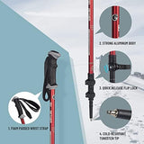 Aluminum Trekking Poles - Quick Adjustable Locks, Comfort Handle, Padded Strap, Snow Baskets - Walking Sticks Suitable for Hiking, Walking