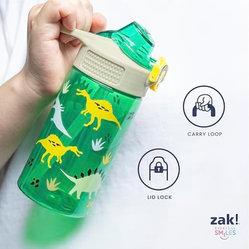 Zak Designs PAW Patrol Sage Kids Water Bottle For School or Travel, 16oz Durable Plastic Water Bottle With Straw, Handle, and Leak-Proof, Pop-Up Spout Cover, 2-Pack Set Chase & Friends