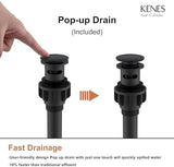 KENES Matte Black Single Handle Bathroom Sink Faucet, Stainless Steel Vanity Faucet for Bathroom Sink, with Pop Up Drain Stopper & Water Supply Hoses LJ-9031-2