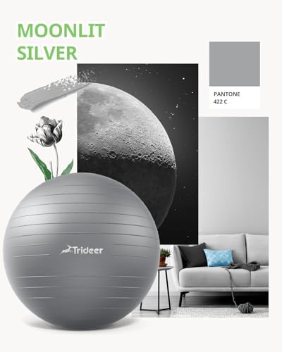 Trideer Yoga Ball - Exercise Ball for Workout pilates Stability - Anti-Burst and Slip Resistant for physical therapy, Birthing, Stretching & Core Workout, Office Ball Chair, Flexible Seating, Home Gym