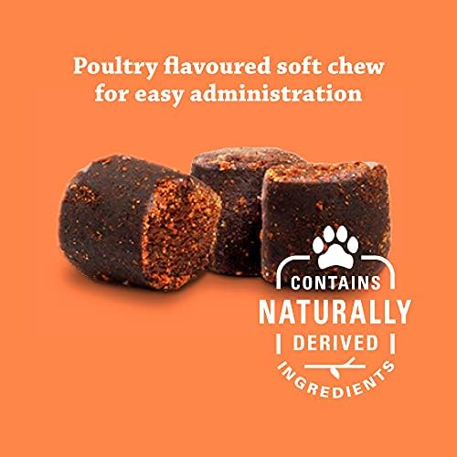 Synovi G4 Dog Joint Supplement Chews for Dogs of All Ages, Sizes and Breeds-60 Chews