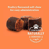Synovi G4 Dog Joint Supplement Chews for Dogs of All Ages, Sizes and Breeds-60 Chews