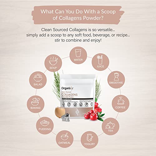 Organixx Clean Sourced Collagen Powder, Hydrolyzed Protein Powder Collagen Peptides with Vitamin C, and Types I, II, III, V, X, For Skin, Joints, Hair and Nails, Aging Support Unflavored (15 Servings)