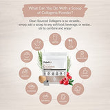 Organixx Clean Sourced Collagen Powder, Hydrolyzed Protein Powder Collagen Peptides with Vitamin C, and Types I, II, III, V, X, For Skin, Joints, Hair and Nails, Aging Support Unflavored (15 Servings)