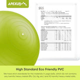 APEXUP Yoga & Pilates Ball - Anti Slip Heavy Duty Gym Ball for Fitness, Balance & Core Workout
