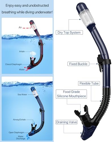 Snorkeling Gear for Adults Men Women,4 in 1 Snorkel Set with Panoramic View Diving Mask Anti-Fog Anti-Leak,Dry Top Snorkel,Fins and Travel Bag for Swimming,Snorkeling and Travel Diving