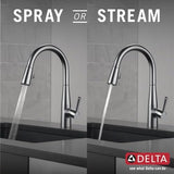 Delta 9113-AR-DST Essa Kitchen Faucet, Standard, Arctic Stainless