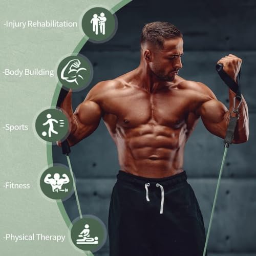 VEICK Resistance Bands, Exercise Bands, Workout Bands Set for Working Out with Handles for Men Women, Elastic Exercising Bands for Fitness Weights Work Out at Home Gym