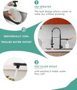 Fapully Black Kitchen Faucet with Pull Down Sprayer,Commercial LED Kitchen Faucet,Single Handle Single Hole Kitchen Sink Faucets