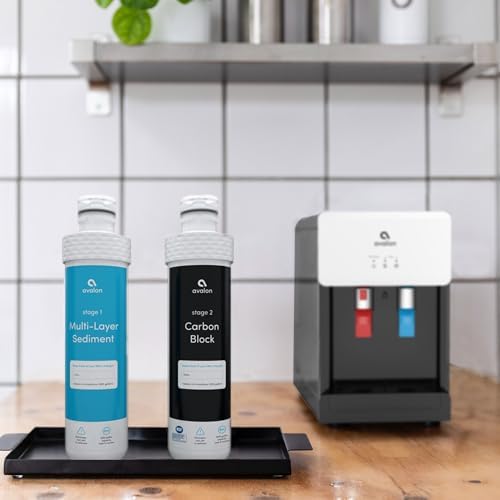 Avalon Genuine 2 Stage Replacement Filters For All Avalon Branded Bottleless Water Coolers NSF Certified, 2 Count (Pack of 1)