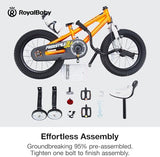 RoyalBaby Kids Bike EZ Freestyle Training Free Balance to Pedal Easy Learning Bicycle, 12-18 Inch for Toddlers to Big Kids