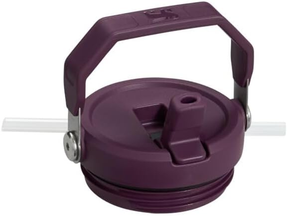 Stanley IceFlow Flip Straw Tumbler with Handle 20 oz | Twist On Lid and Flip Up Straw | Leak Resistant Water Bottle | Insulated Stainless Steel |BPA-Free | Tigerlily Plum