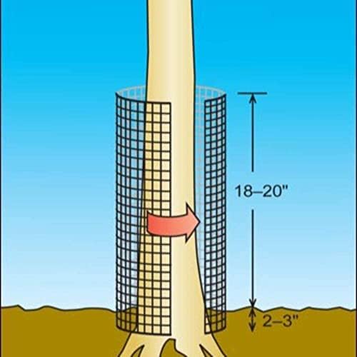 AMAGABELI GARDEN & HOME Hardware Cloth 1/2 inch 48inx50ft 19 Gauge Square Chicken Wire Galvanizing After Welding Fence Mesh Roll Raised Garden bed Plant Supports Poultry Netting Cage Snake Fence JW007