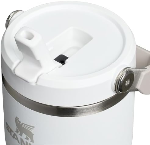 Stanley IceFlow 2.0 Flip Straw Tumbler with Handle 20 oz | Twist On Lid and Flip Up Straw | Leak Resistant Water Bottle | Insulated Stainless Steel | BPA-Free | Frost