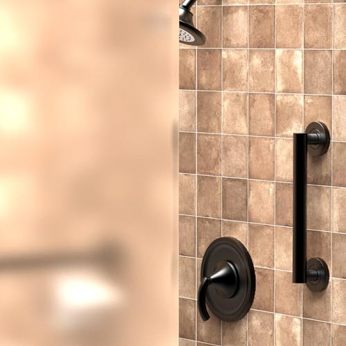 AquaChase ADA Compliant Grab Bar, 500lbs Weight Support for Bath Safety (12 inch, Matte Black)