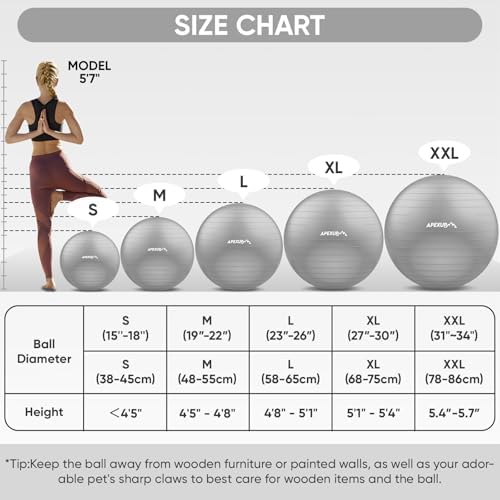 APEXUP Yoga & Pilates Ball - Anti Slip Heavy Duty Gym Ball for Fitness, Balance & Core Workout