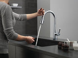Delta 9113T-AR-DST Essa Kitchen Faucet, Touch2O, Arctic Stainless