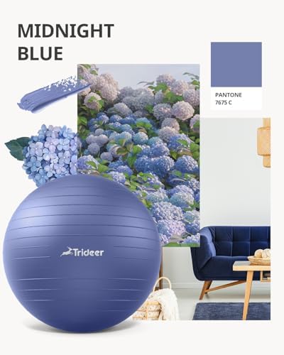 Trideer Yoga Ball - Exercise Ball for Workout pilates Stability - Anti-Burst and Slip Resistant for physical therapy, Birthing, Stretching & Core Workout, Office Ball Chair, Flexible Seating, Home Gym