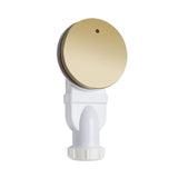 Sandy Beach Brass Shower Waste Trap - Brass Shower Tray Waste Trap, 90mm Shower Waste Trap, Brushed Brass Shower Waste Trap - Slimline Brass Shower Trap Waste Cover (90mm Diameter 48mm Depth)