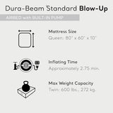 Intex Dura-Beam Standard Pillow Rest Classic Air Mattress Series with Internal Pump