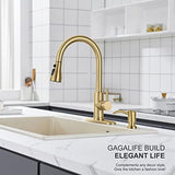 GAGALIFE Built in Sink Soap Dispenser or Lotion Dispenser for Kitchen Sink, Brushed Gold ABS Pump Head, with 17 Ounce Large PET Soap Bottle